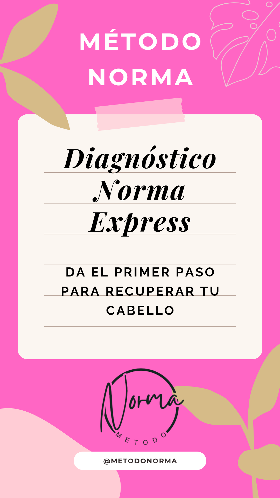 Diagnóstico Norma Express